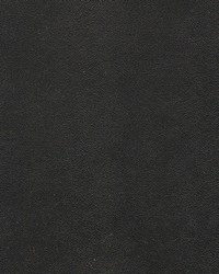 Potion-nj 577 Orca by   