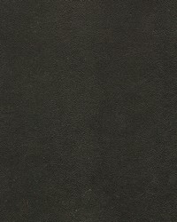 Potion-nj 580 Carbon by   