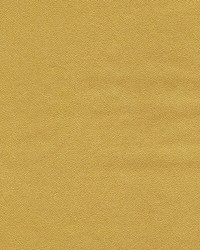 Potion-nj 586 Buttercream by   