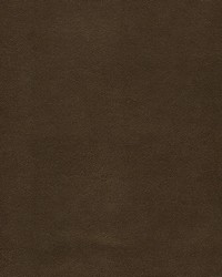 Potion-nj 590 Brownie by   