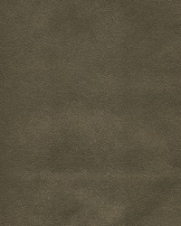 Potion-nj 592 Iron by   