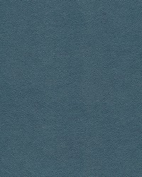 Potion-nj 598 Swim by   