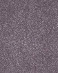 Persuasion 002 Aubergine by  Maxwell Fabrics 