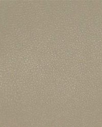 Persuasion 005 Bisque by  Maxwell Fabrics 