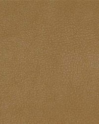 Persuasion 007 Butterscotch by  Maxwell Fabrics 