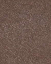 Persuasion 008 Cafe by  Maxwell Fabrics 