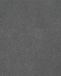 Persuasion 014 Iron by  Maxwell Fabrics 