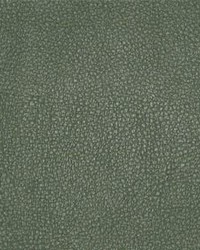 Persuasion 015 Jalapeno by  Maxwell Fabrics 