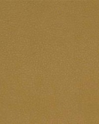 Persuasion 016 Maize by  Maxwell Fabrics 