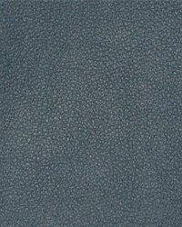 Persuasion 018 Meridian by  Maxwell Fabrics 