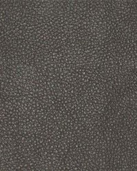 Persuasion 021 Pumpernickel by  Maxwell Fabrics 