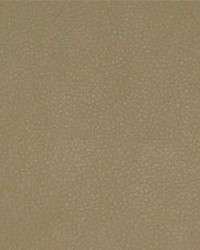 Persuasion 022 Sand by  Maxwell Fabrics 