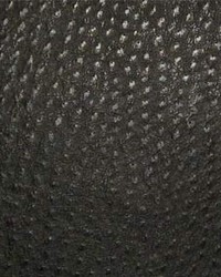 Phoenix003 Caviar by  Maxwell Fabrics 