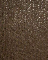 Phoenix004 Chocolate Chip by  Maxwell Fabrics 