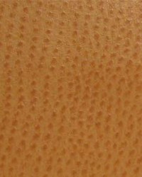 Phoenix005 Chutney by  Maxwell Fabrics 