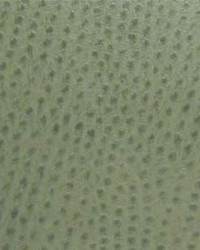 Phoenix006 Drizzle by  Maxwell Fabrics 