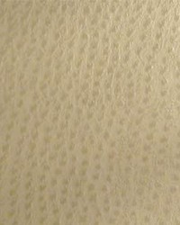 Phoenix007 Fog by  Maxwell Fabrics 