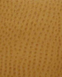Phoenix009 Ochre by  Maxwell Fabrics 