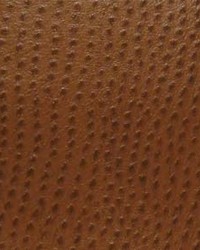 Phoenix010 Outback by  Maxwell Fabrics 