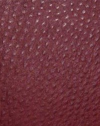 Phoenix011 Ruby by  Maxwell Fabrics 