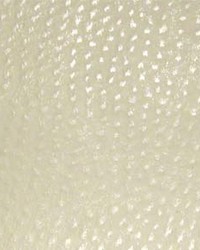 Phoenix012 Snowflake by  Maxwell Fabrics 