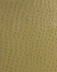 Phoenix013 Willow by  Maxwell Fabrics 