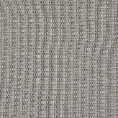 Perimeter 371 African Grey in PW-VOL.I THUNDER Grey RAYON/44%  Blend Fire Rated Fabric