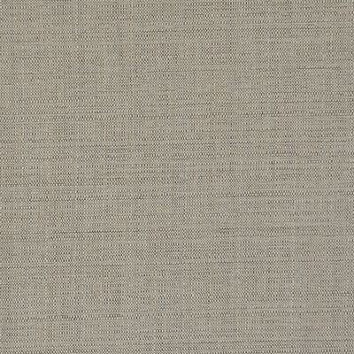 Precise 403 Natural in PW-VOL.I WHITE SAND Beige RAYON/33%  Blend Fire Rated Fabric