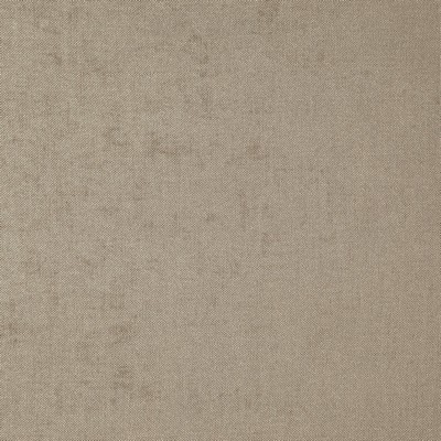 Parkwood 8109 Flax in CURLED UP IV POLYESTER/ Fire Rated Fabric