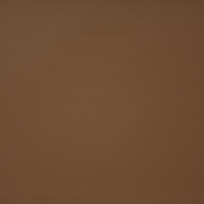 Pinto 722 Autumn in EASY RIDER IV PVC  Blend Fire Rated Fabric High Wear Commercial Upholstery Solid Faux Leather CA 117  NFPA 260  Solid Color Vinyl  Fabric