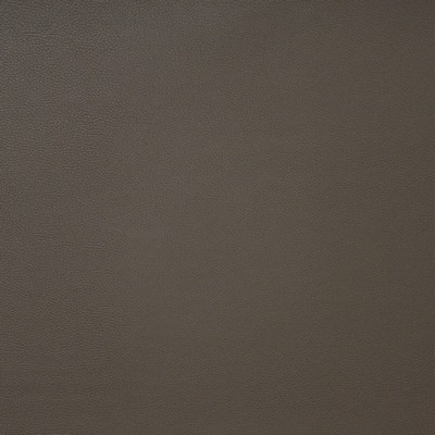Pinto 741 Coffee in EASY RIDER IV Brown PVC  Blend Fire Rated Fabric High Wear Commercial Upholstery Solid Faux Leather CA 117  NFPA 260  Solid Color Vinyl  Fabric