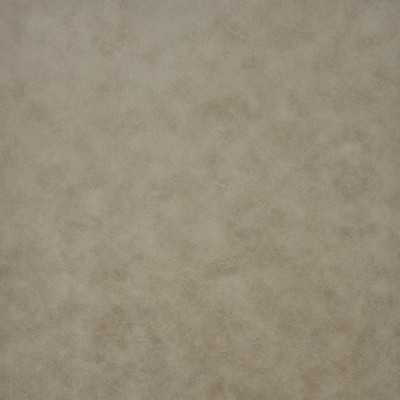 Pompeii 135 Sand in COLOR WAVES-NEUTRAL TERRITORY Brown POLYESTER  Blend Fire Rated Fabric Heavy Duty CA 117  NFPA 260   Fabric