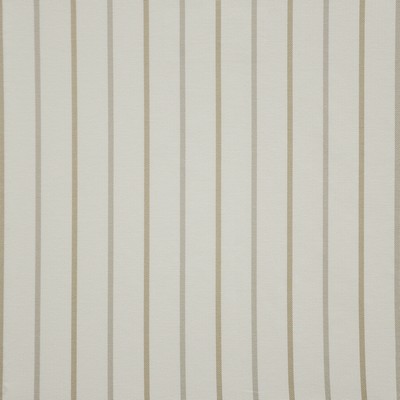 Parallel Lines 730 Biscotti in COLOR THEORY-VOL.IV PRAIRIE Beige COTTON  Blend Fire Rated Fabric Medium Duty CA 117  Small Striped  Striped   Fabric