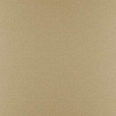 Phobos 314 Camel in PERFORMANCE TEXTURES Beige POLYESTER  Blend Heavy Duty CA 117  NFPA 260  Woven   Fabric