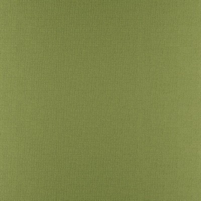 Phobos 317 Palm in PERFORMANCE TEXTURES Green POLYESTER  Blend Heavy Duty CA 117  NFPA 260  Woven   Fabric