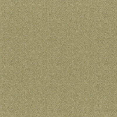 Patagonia 840 Lemongrass in COLORGUARD - AMAZONIA Green POLYPROPYLENE/25%  Blend Heavy Duty  Fabric