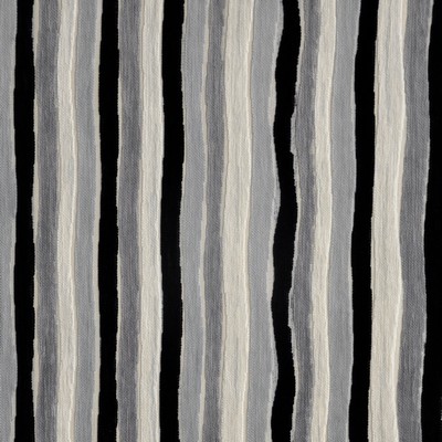 Palisade 832 Zebra in PERFORMANCE WOVENS-BADLANDS Black Upholstery POLYESTER/15%  Blend High Wear Commercial Upholstery Striped  Patterned Velvet   Fabric