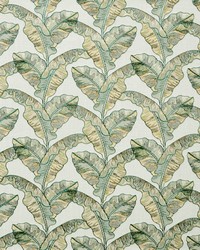 Palm Grove 621 Amazon by   