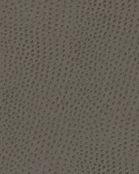 Quill-nj 873 Shark by   