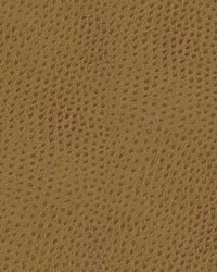 Quill-nj 876 Bashkir by   