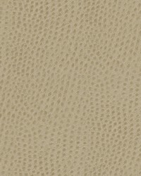 Quill-nj 878 Marzipan by   