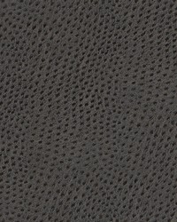 Quill-nj 879 Connemara by   