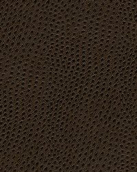 Quill-nj 880 Trotter by   