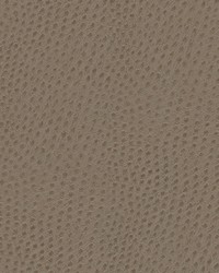 Quill-nj 883 Musgum by   