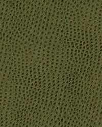 Quill-nj 885 Mangrove by   