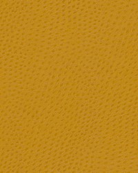 Quill-nj 889 Sunburst by   