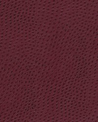 Quill-nj 890 Bramble by   