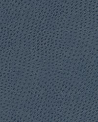 Quill-nj 891 Blackthorn by   