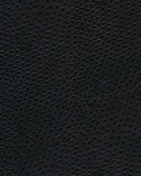 Quill-nj 892 Coal by   