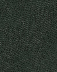 Quill-nj 894 Forest by   